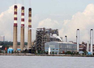 «Solo el 21% de las termoeléctricas están funcionando», advierte ingeniero Vernet