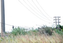 Riesgo eléctrico en El Guamo