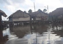 Comunidades del Delta del Orinoco pasarán las fiestas navideñas sin luz