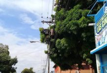 Más de 80 horas sin luz tiene comunidad La Barraca de Maracay