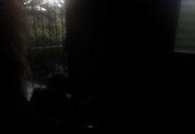Apagón en Táchira, Mérida y zonas de Vargas reportan este #9Ene