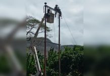 31 mesas electorales en Táchira no se activaron por fallas eléctricas