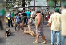 Habitantes de La Estrella protestan en Charallave por falta de energía eléctrica