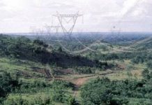 Experiencias en privatización del sector eléctrico (I): Qué privatizar y que no