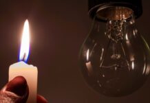 “Ya ni con las plantas podemos trabajar”: Nueva Esparta clama porque vuelva la luz